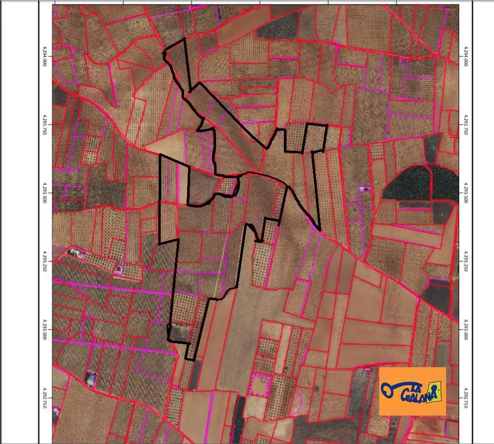 Rural land for sale in Valdepeñas