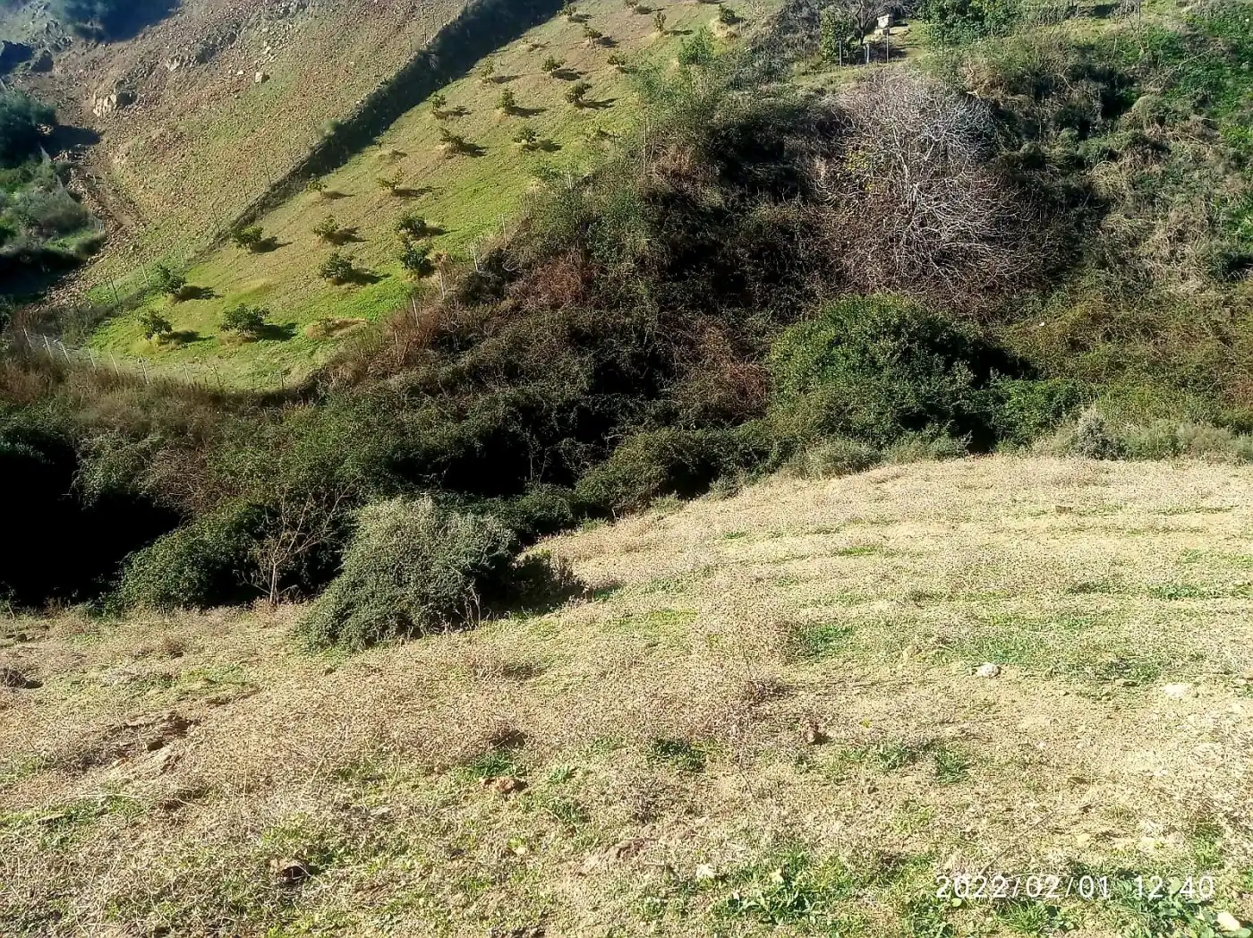Country homes for sale in Mijas  with Private garden