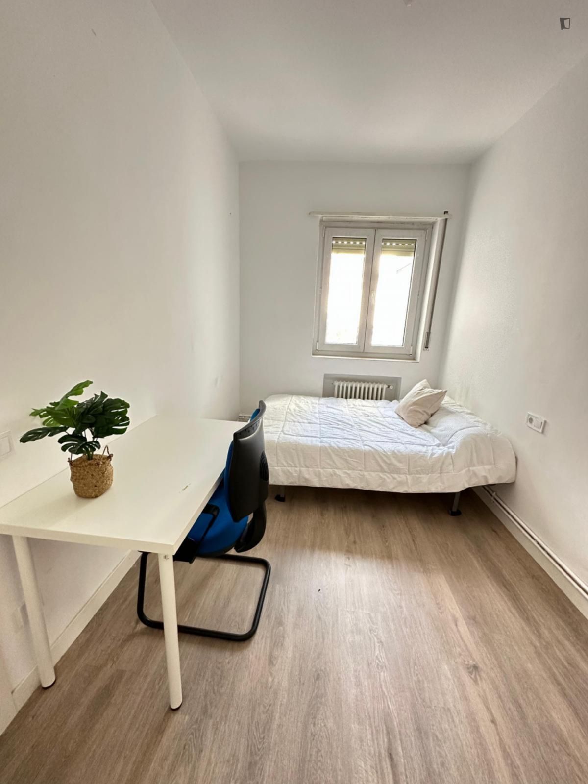 Apartment to share in Centro