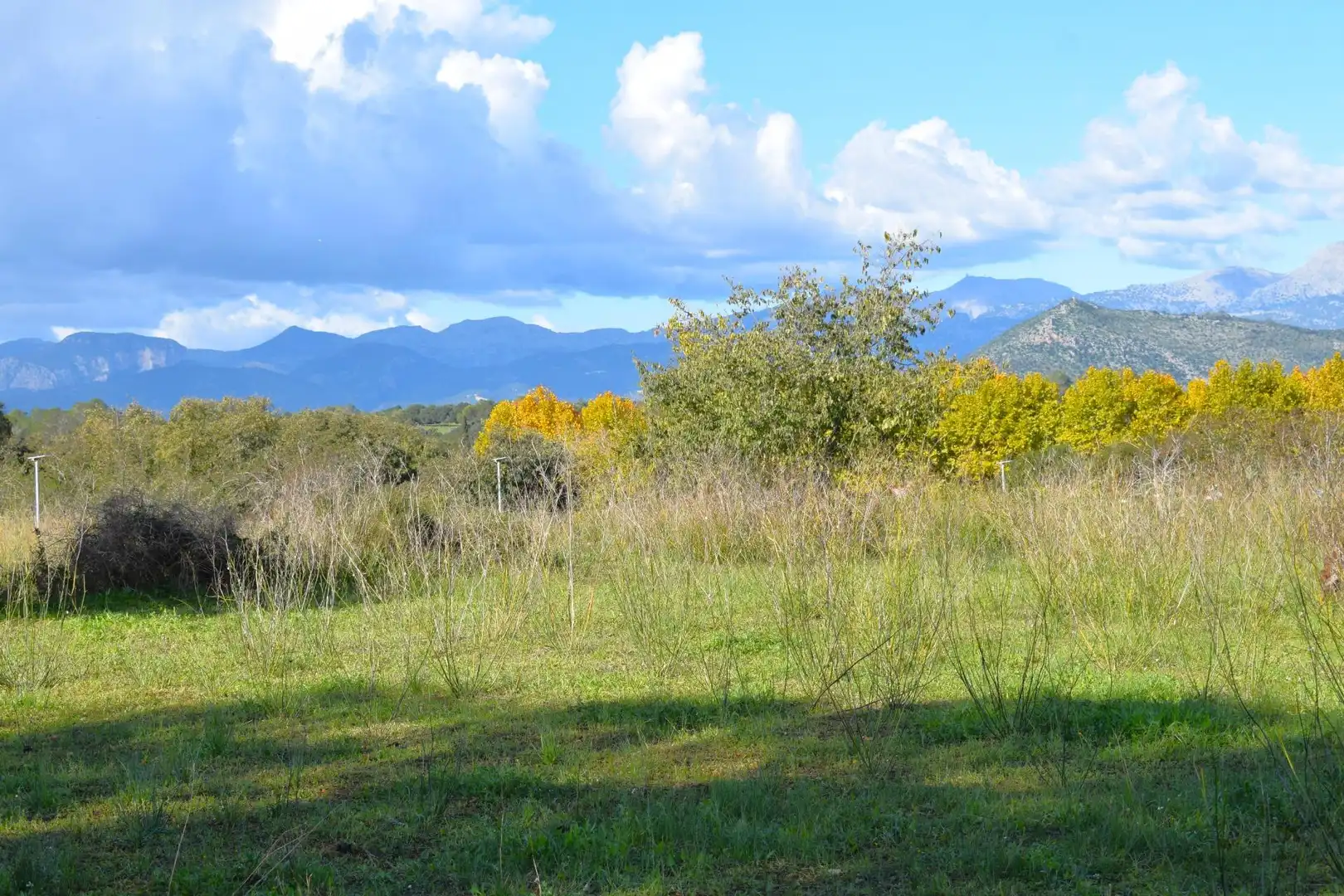 Residential land for sale in Llubí