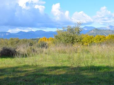 Wohnbaugrundstück zum Verkauf in Llubí