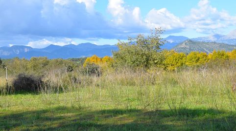 Solares  con hermosas  vistas a la Serra de Tramuntana en Llubi