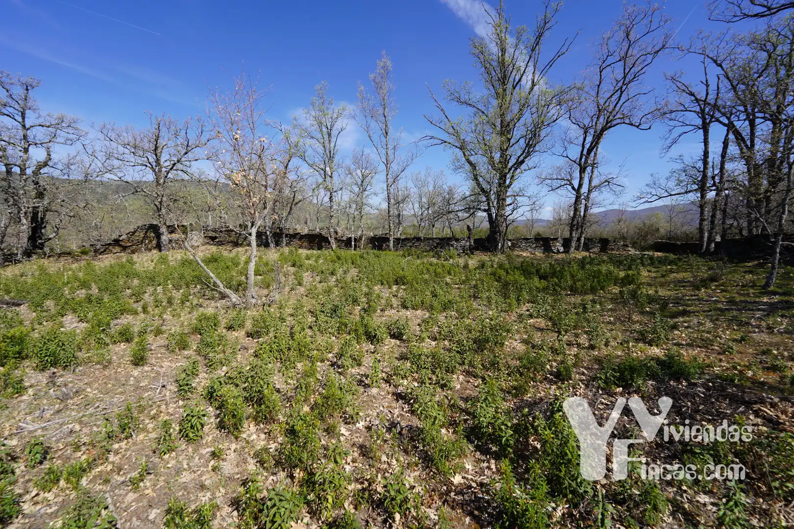 Terreno rústico en venta en Campillo de Ranas, imagen 13