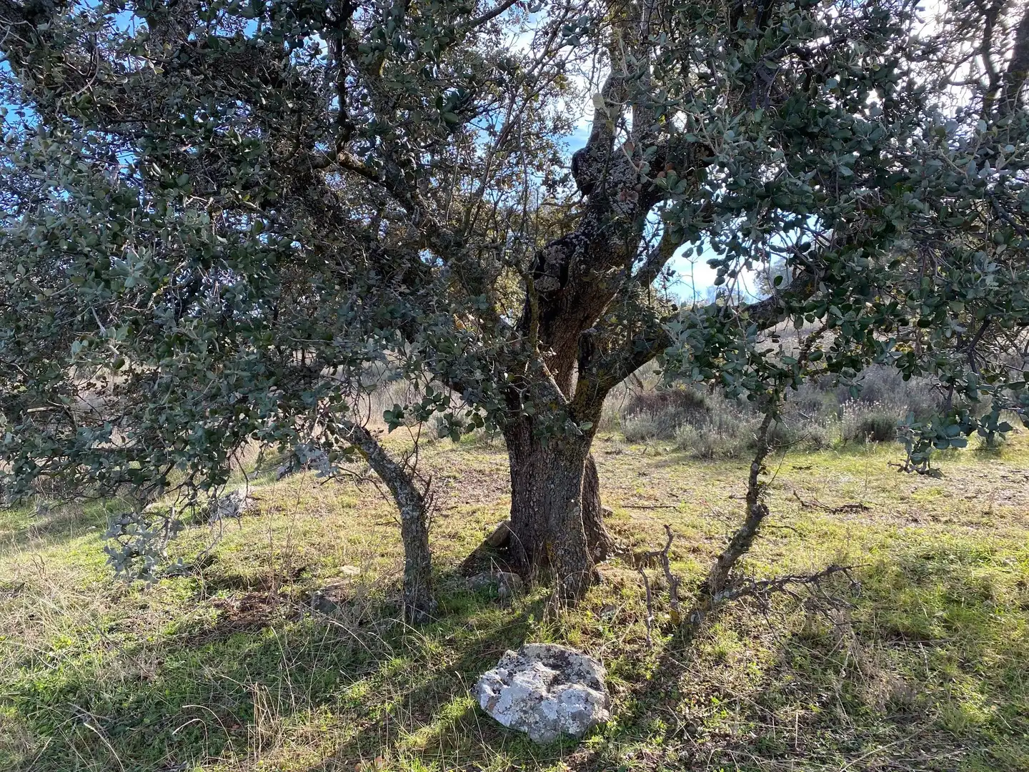 Grundstücke zum Verkauf in La Estrella
