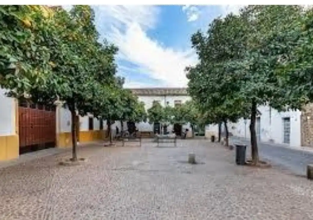 Pis en venda a Plaza de Regina 1, imagen 20