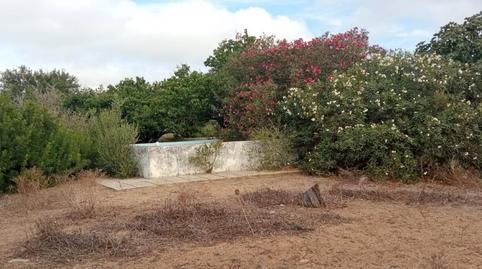 Foto 5 de Finca rústica en venda a Los Franceses – La Vega, Cádiz