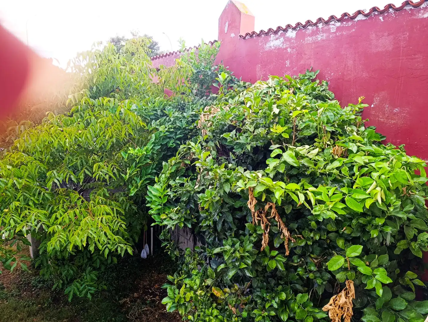 Detached homes for sale in Rúa Río de Quintas, Eirís