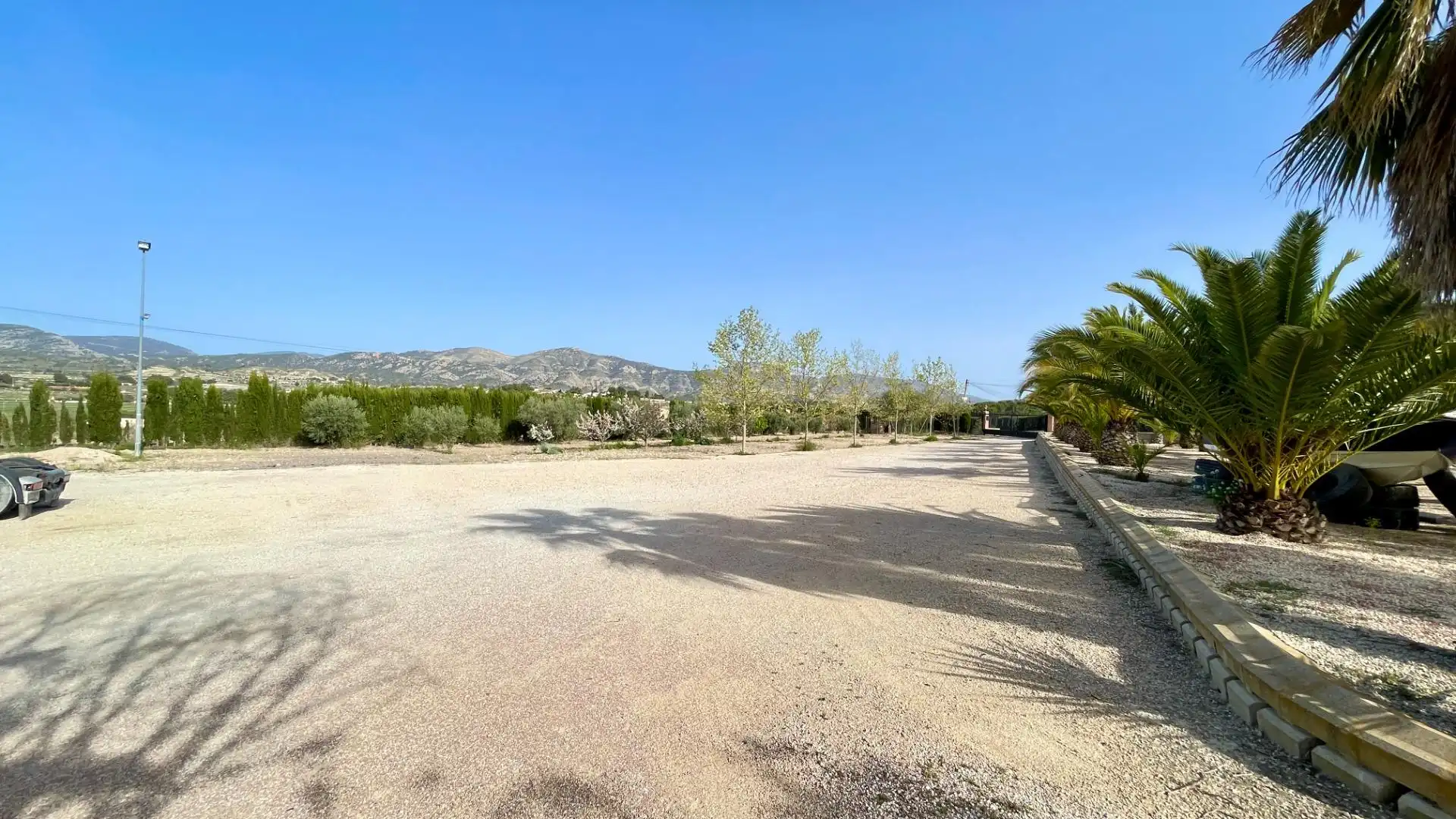 Detached house with pool for sale in Calle Finca Rustica en Sax, imagen 7