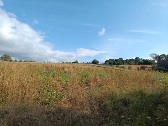 Terreno en Venta en Ameas, 49 en Carral