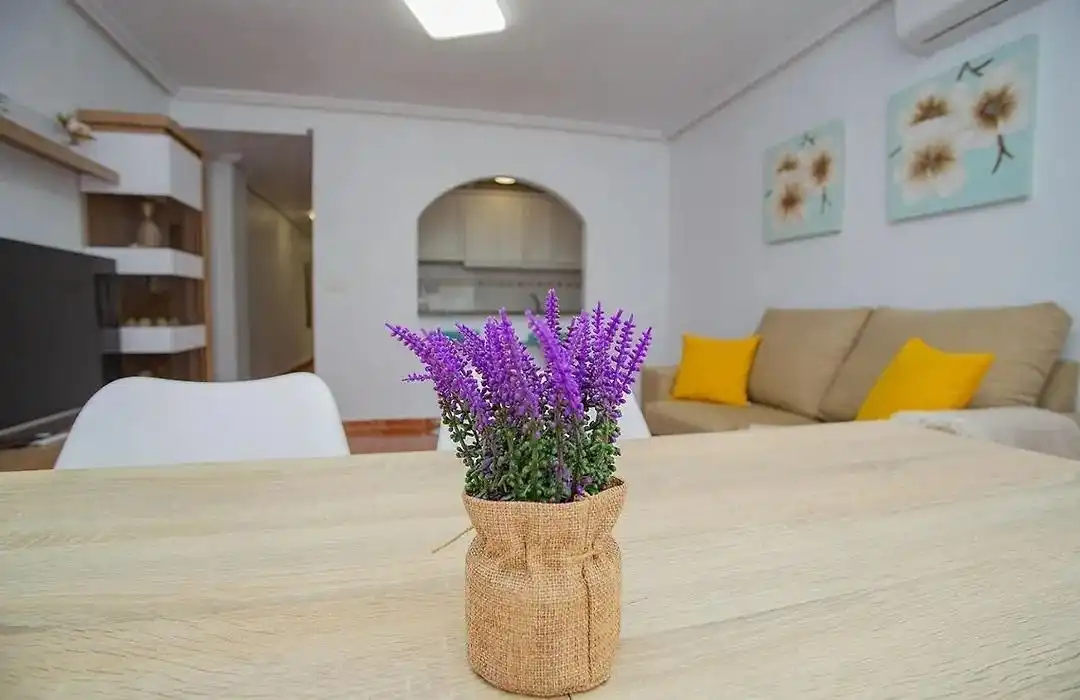 Habitación de Apartamento de alquiler en Torrevieja con Aire acondicionado, Amueblado y Internet