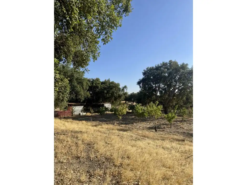 Casa rústica amb piscina en venda a Polígono 6 Parcela 425 LADERAS DE MAYORGA. SAN VICENTE DE ALCANTARA (BADAJOZ), imagen 23