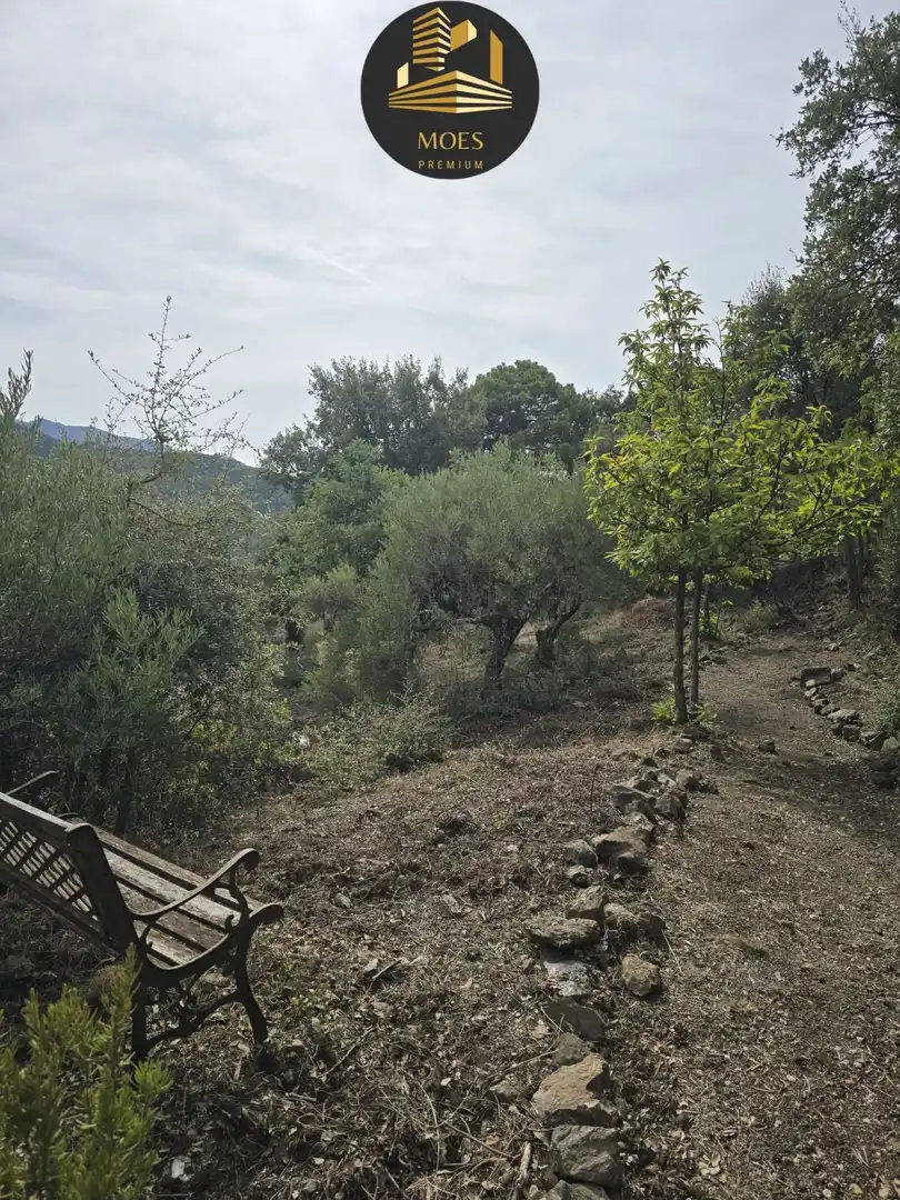 Country house for sale in Jubrique, imagen 26