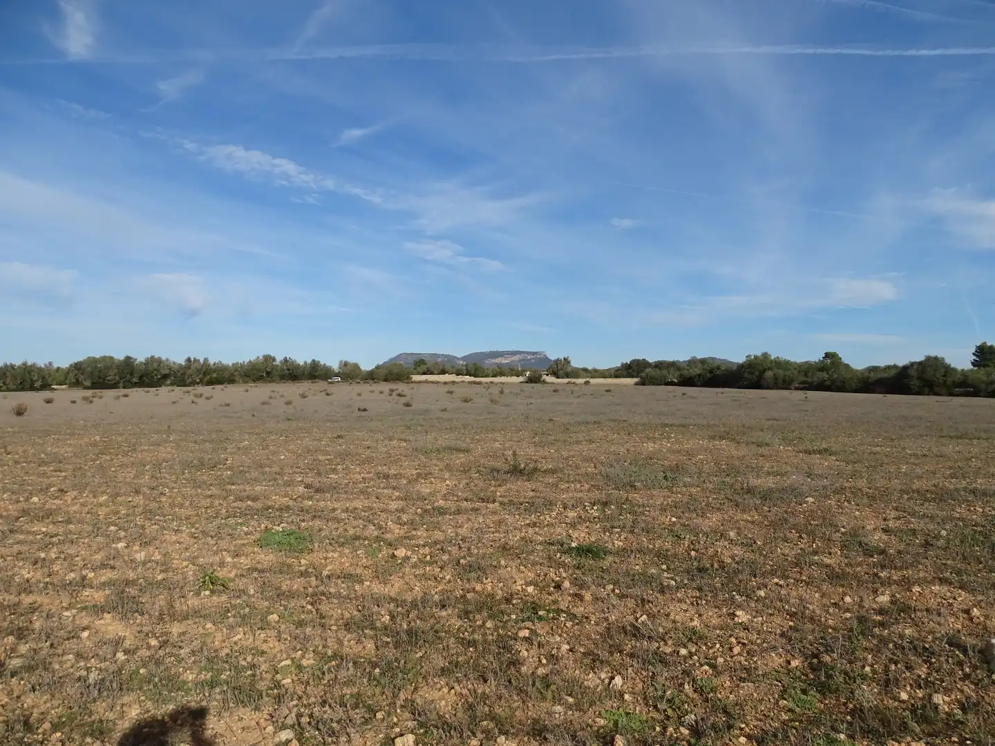 Terreno rustico in vendita a Llucmajor pueblo, imagen 11