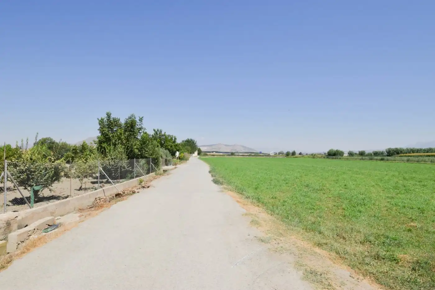 Rural land for sale in Camino PRADOS, imagen 8