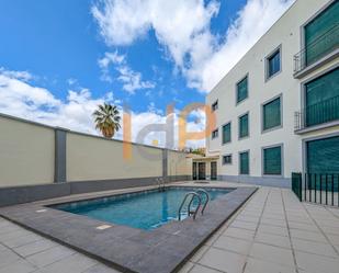 Swimming pool of Apartment for sale in Dalías  with Terrace and Community pool