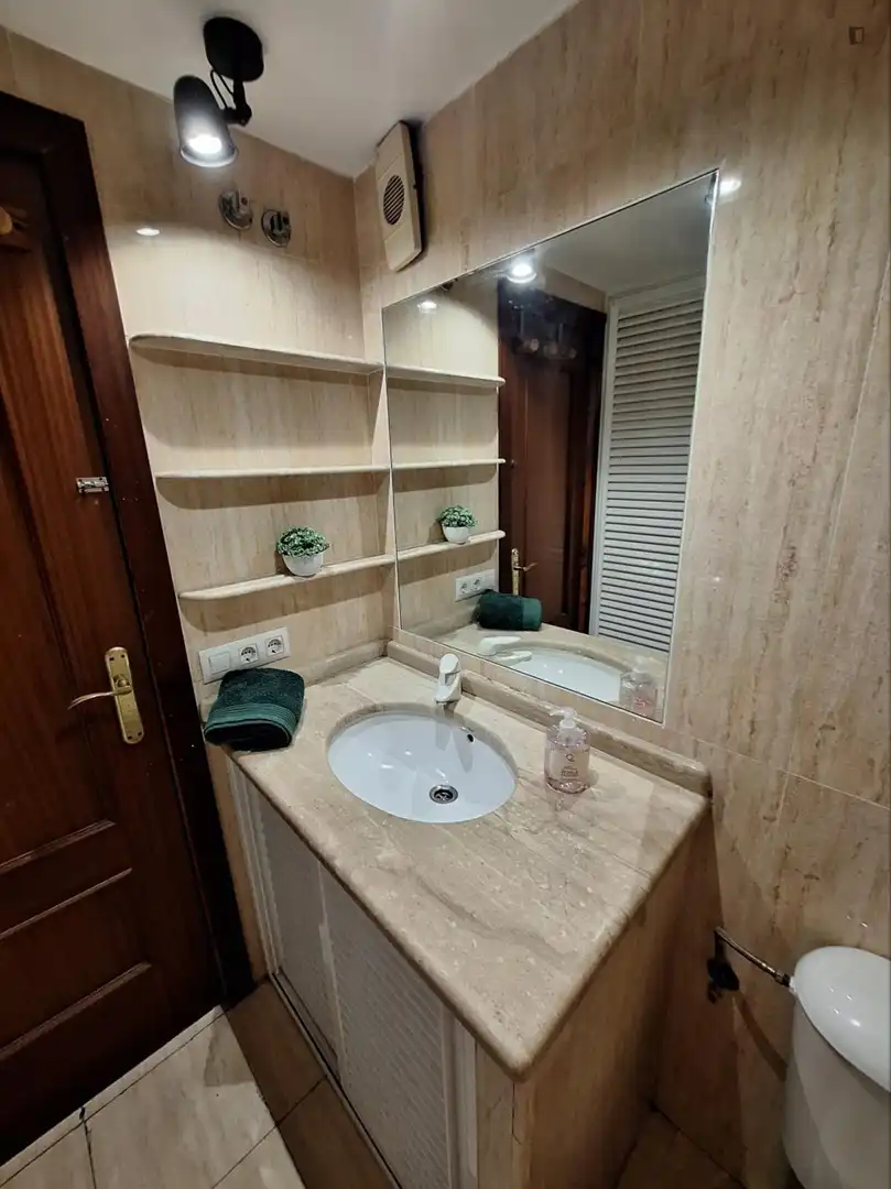 Bathroom of Apartments for share in Sevilla  with Furnished, Washing machine and Internet