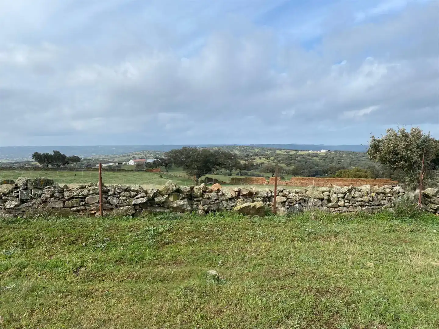 Land for sale in Medina de las Torres