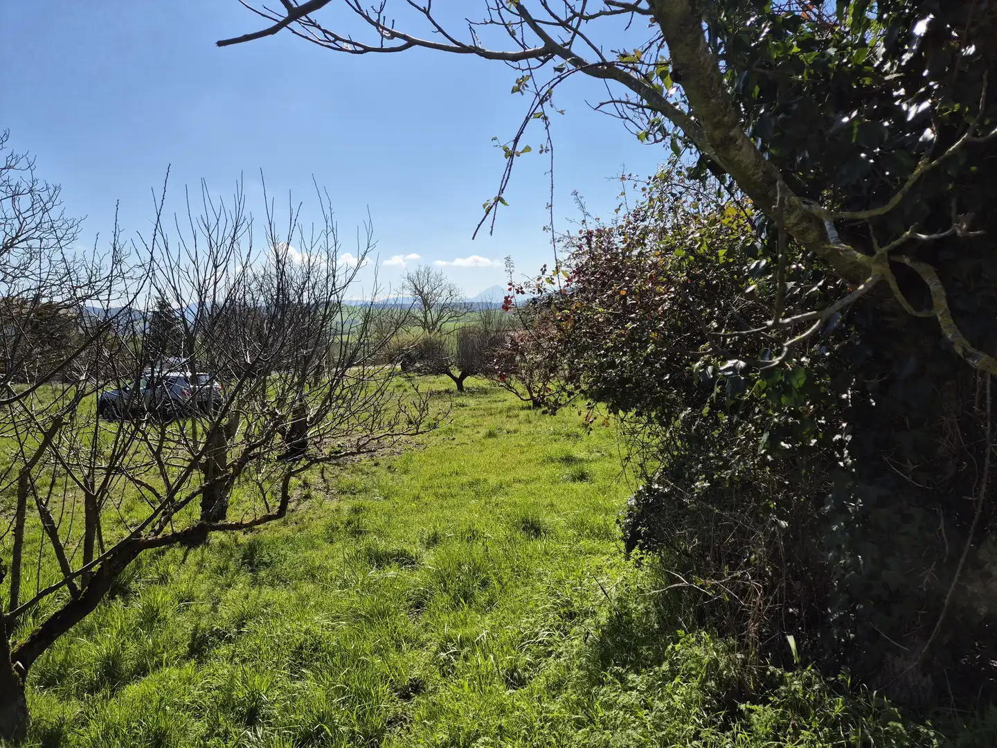 Residential land for sale in Calle San Juan 34, imagen 3