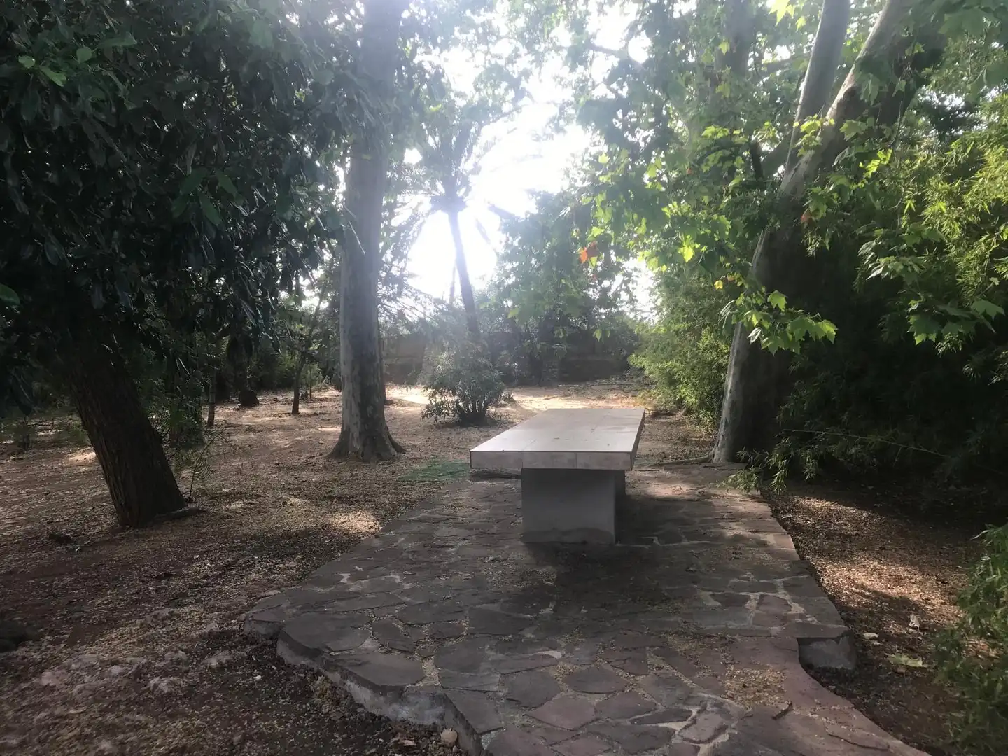 Finca rústica en venda en Benifaió amb Jardí privat, Terrassa i Traster