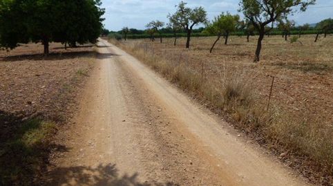 Foto 2 von Grundstücke zum Verkauf in Camino Sa Cabana, Binissalem, Illes Balears
