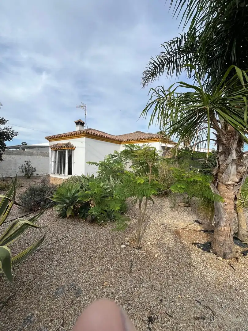 Casa o xalet en venda a Pelagatos - Pago del Humo