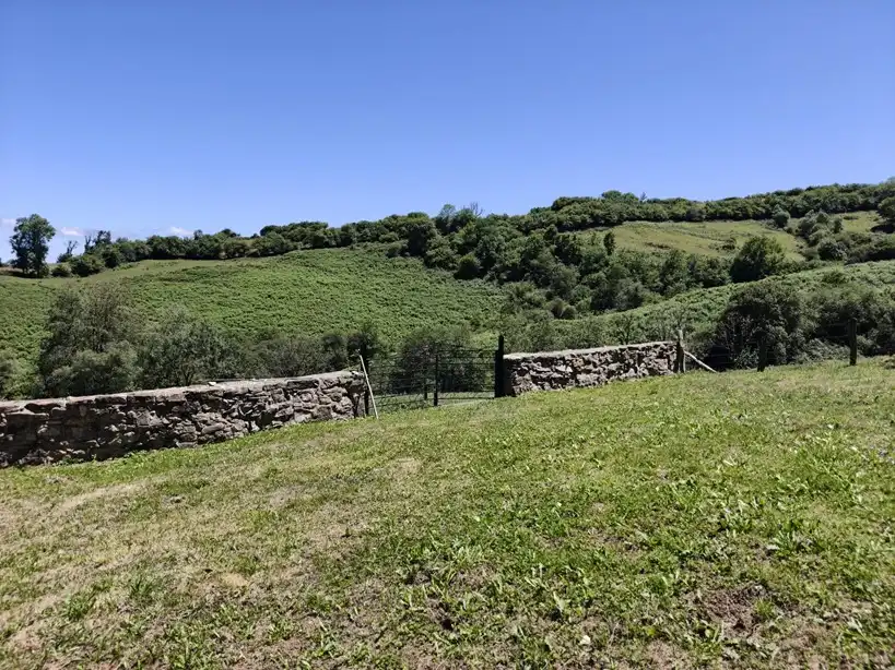 Terreno rustico in vendita a Proaza, imagen 42
