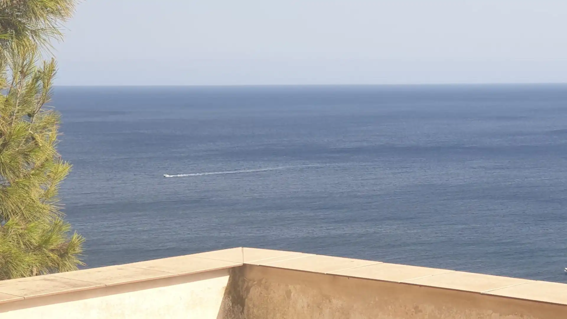Lands and plots for sale in Mascarat, imagen 8
