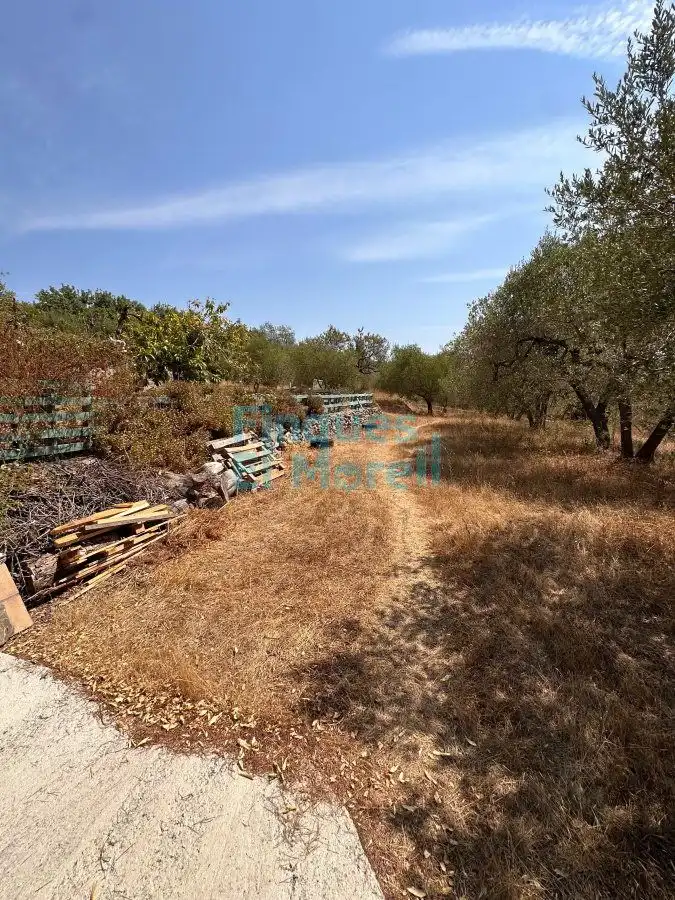 Houses for sale in L'Aleixar  with Terrace and Balcony