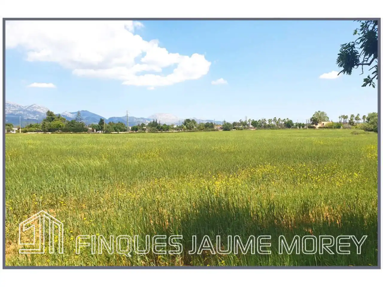 Residential for sale in Inca