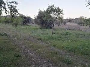 Terreno en venta en Piedrabuena