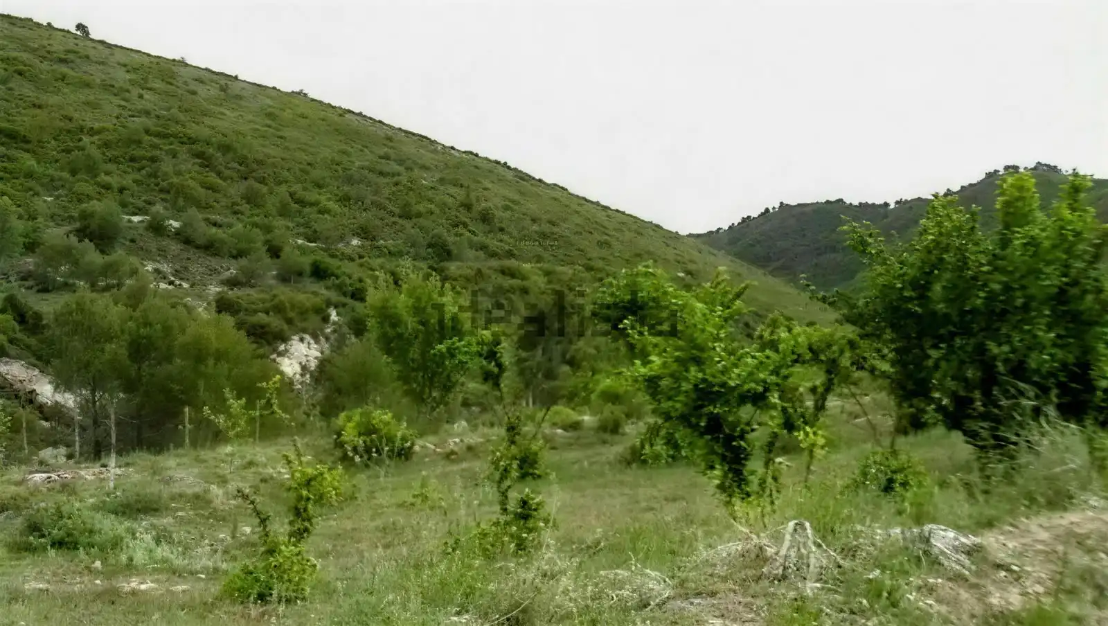 Terreny rústic en venda a Camino Partida Foyetes, imagen 2