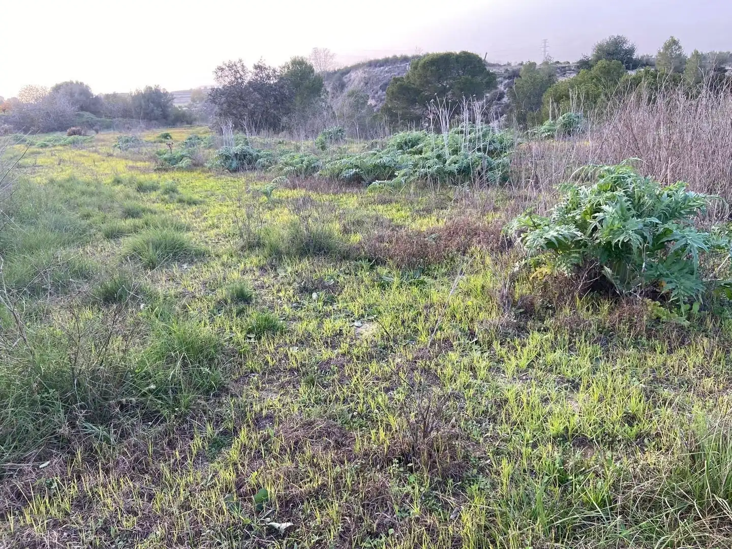 Residencial en venda en Arjona