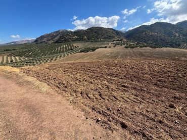 Terreno rustico in vendita a finca parroso