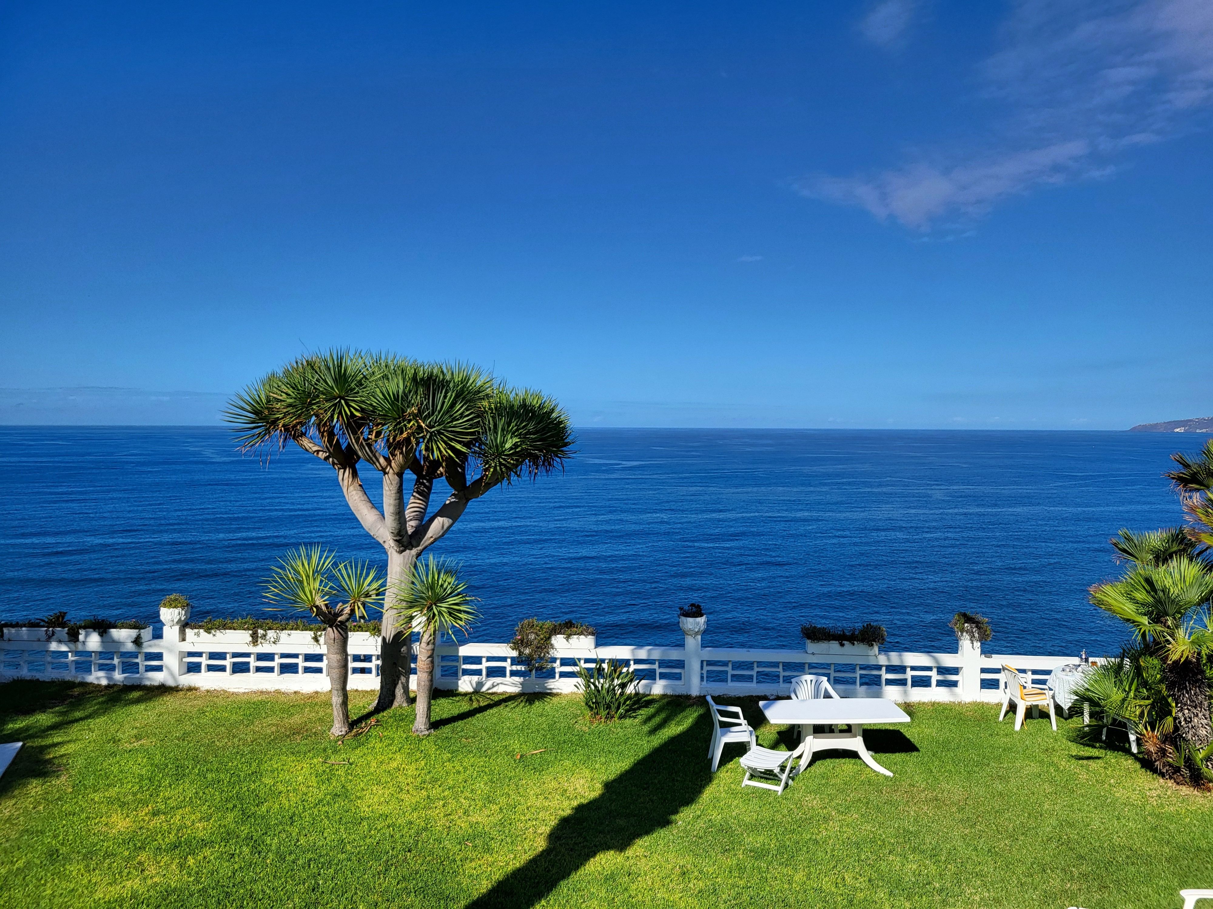Casa o xalet en venda a Zona Botánico