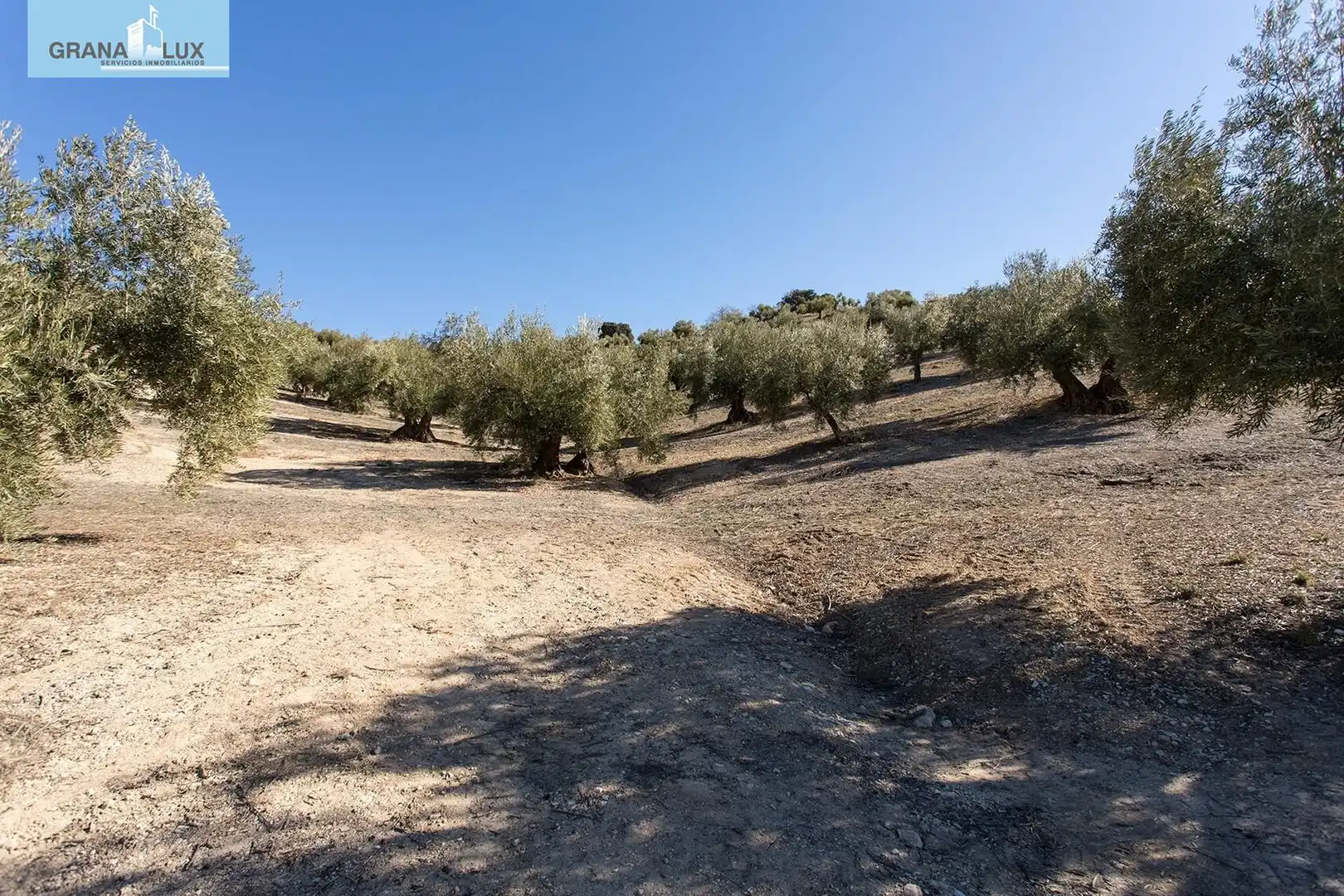 Land for sale in Campotéjar