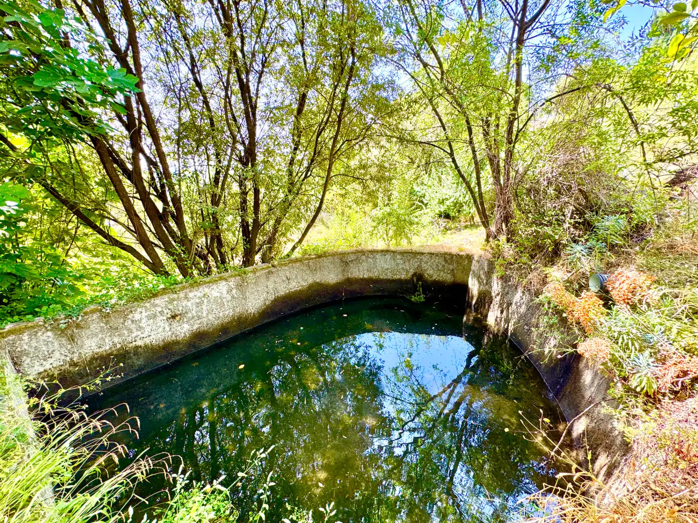 Piscina de Finca rústica en venta en Alpujarra de la Sierra