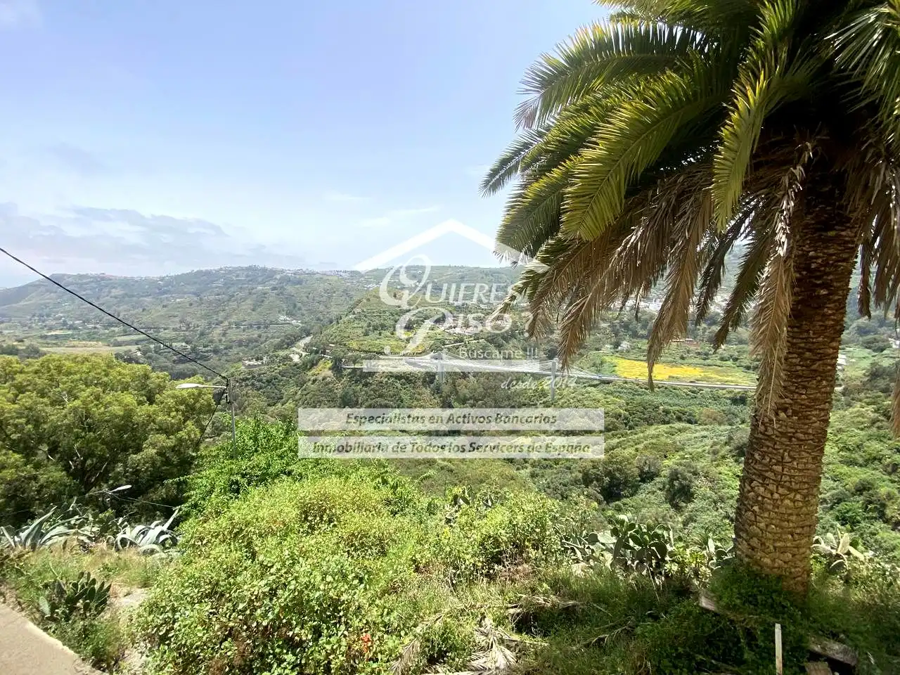 Vista exterior de Finca rústica en venta en Teror