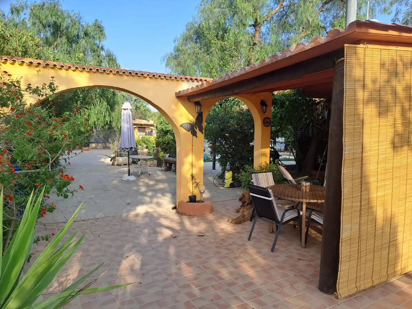 Villa avec terrasse à vendre à Camino de la Caseta Bravo, imagen 37