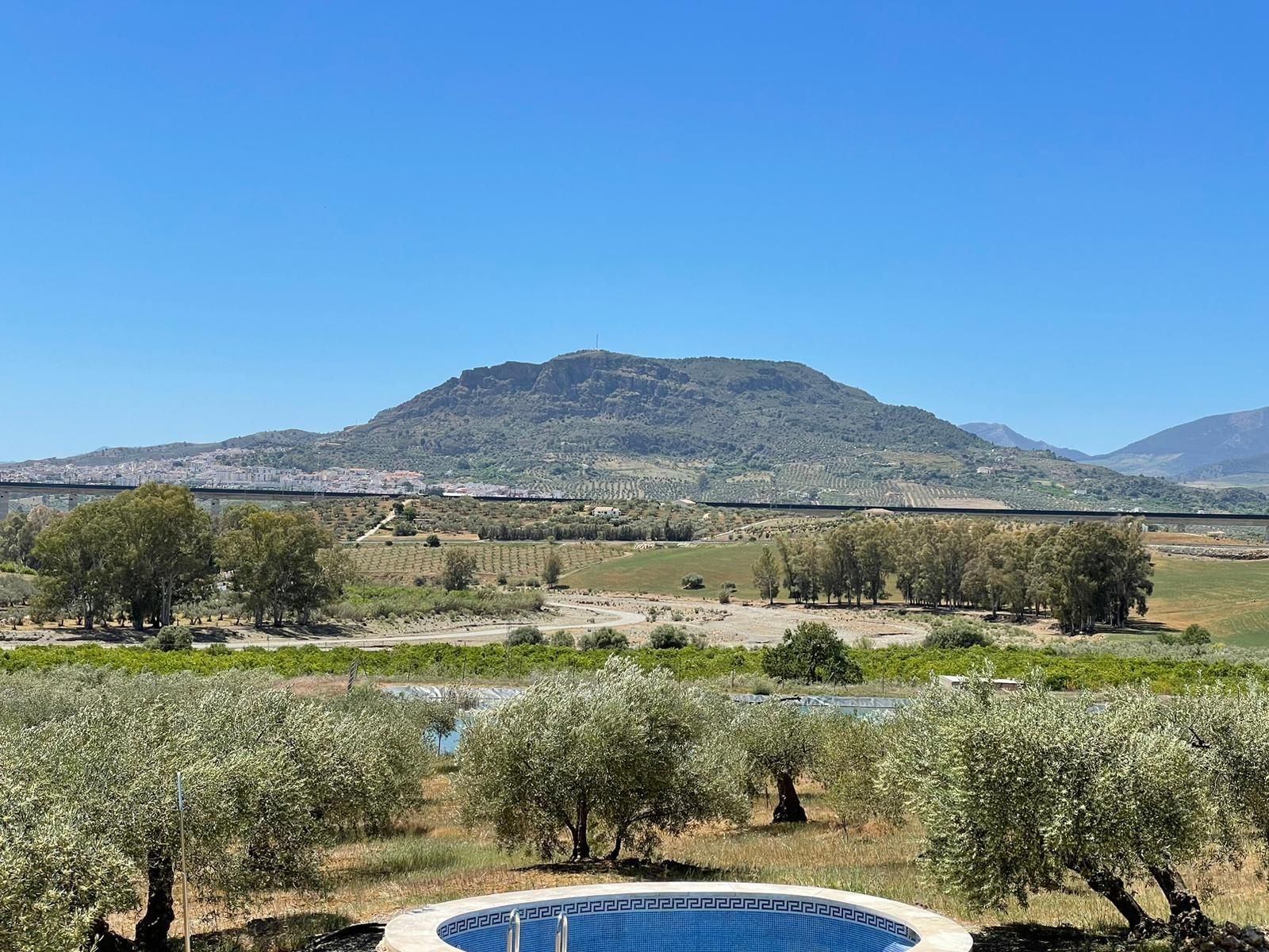 Exterior view of House or chalet for sale in Álora  with Heating, Private garden and Terrace
