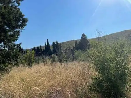 Terreno residencial en venta en Partida Rústica En Hoya De Buñol - El Tollo - Po, imagen 11