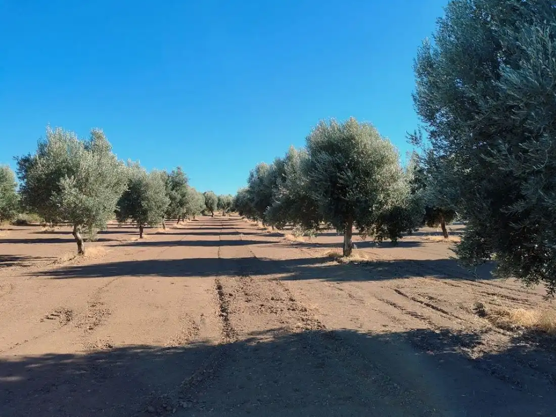 Country homes for sale in Cretas
