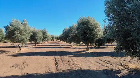 Foto 2 de Finca rústica en venda a Cretas, Teruel