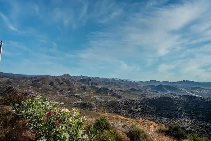 Terreno rustico in vendita a Paraje Collados de las Hormigas, Cumbre de los Collados, Sector 1, imagen 29