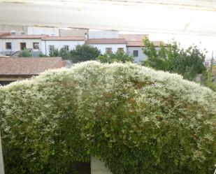 Garden of House or chalet for sale in Burgos Capital