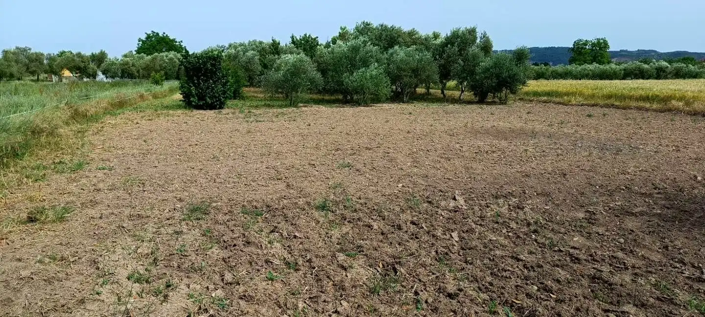 Finca rústica en venta en Mendavia con Jardín privado