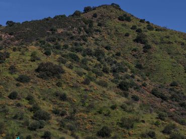 Terreno rustico in vendita a Coín