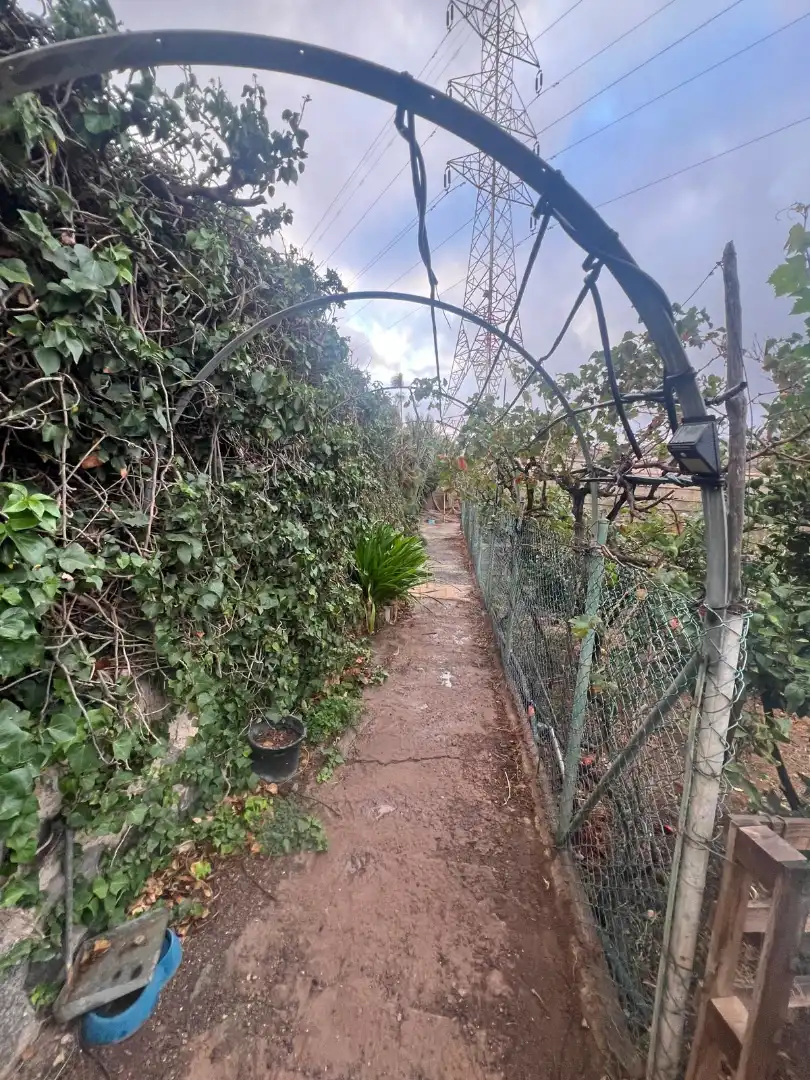Rural land for sale in Ingenio pueblo, imagen 42