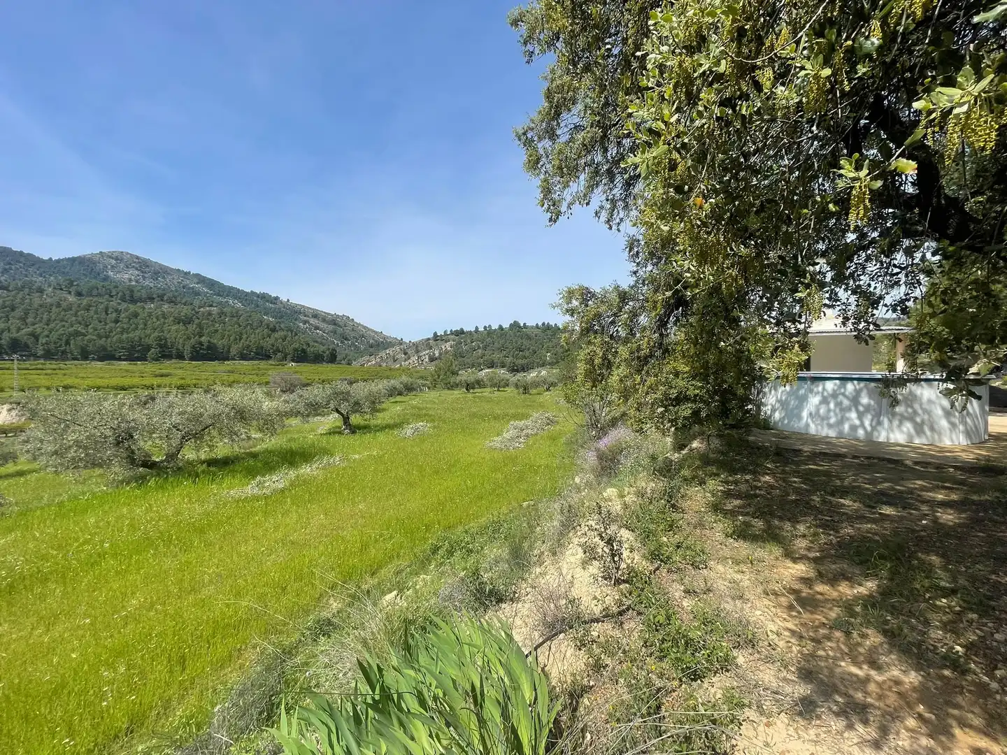 Casa con terrazza in vendita a Cehegín, imagen 16