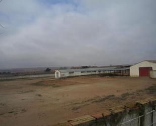 Industrial buildings for sale in Utiel