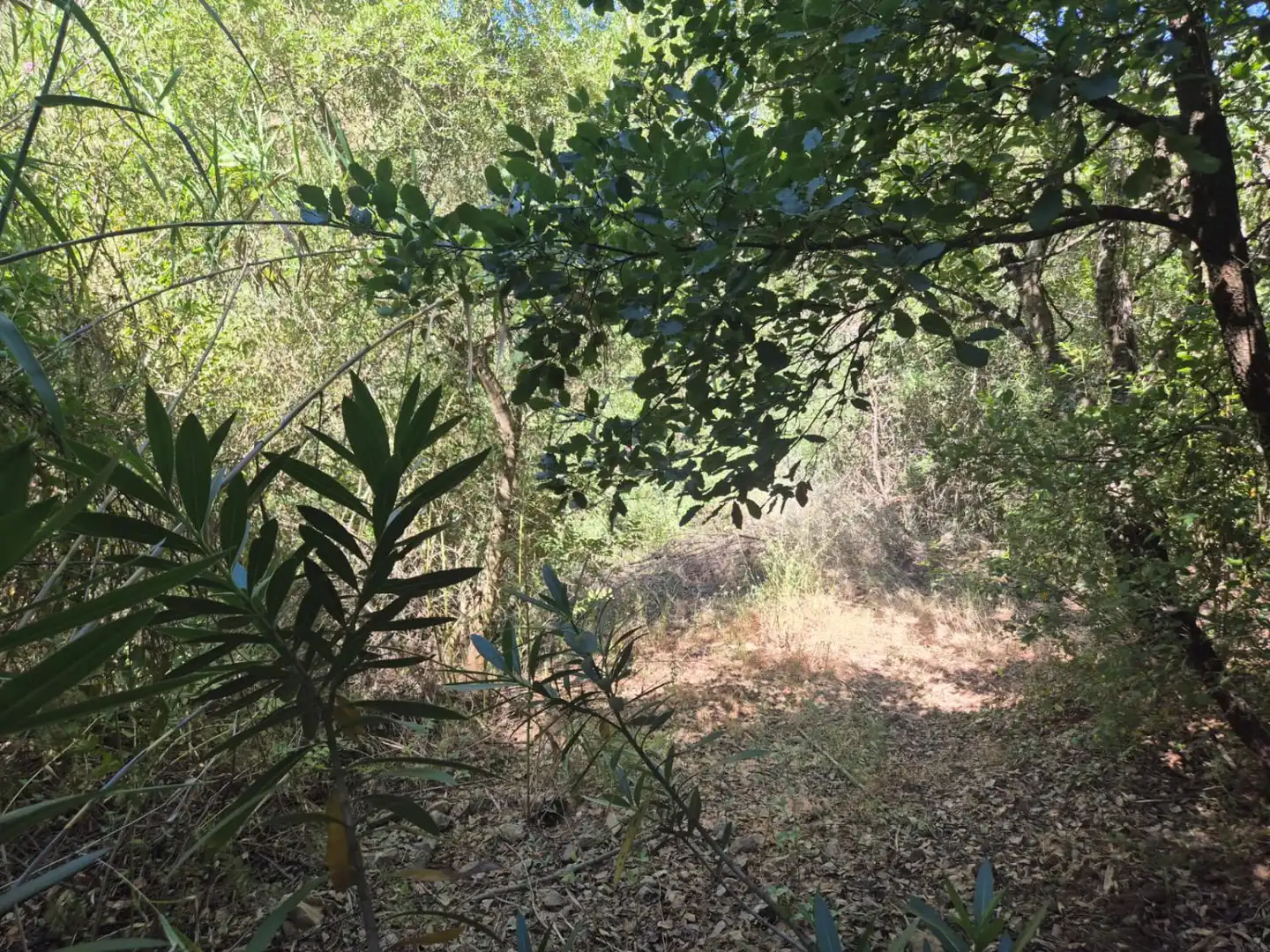 Finca rústica en venda en Guaro amb Calefacció, Terrassa i Traster